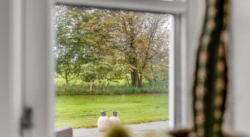 Photo of "Dolfine" - 15km from the sea