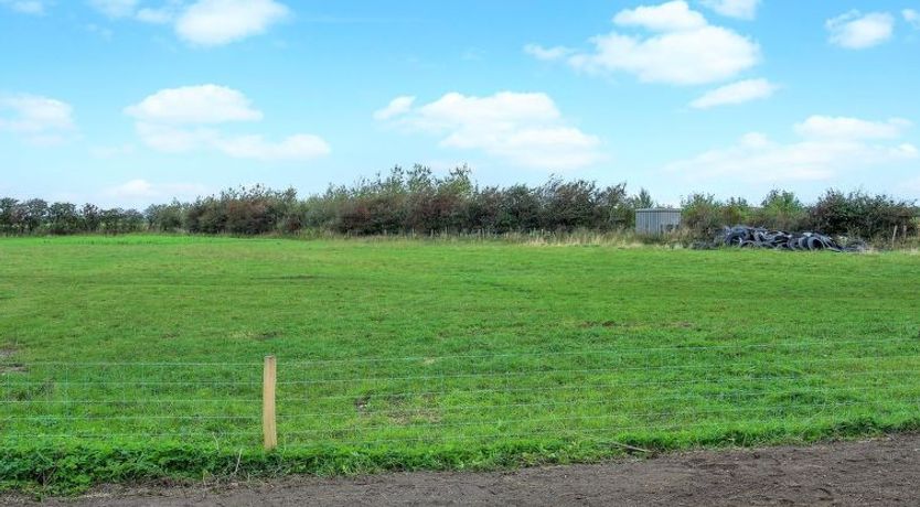 Photo of "Dolfine" - 15km from the sea