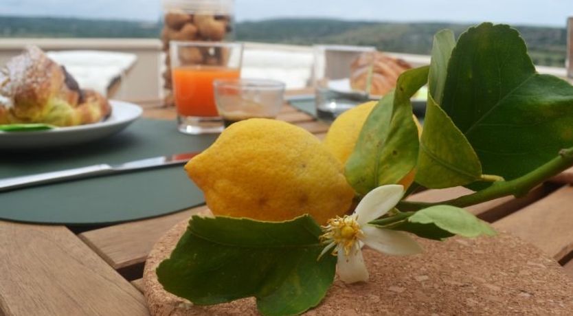 Photo of Amici Miei di Ponente