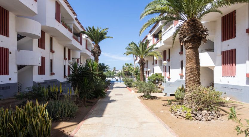 Photo of Deluxe Altemar