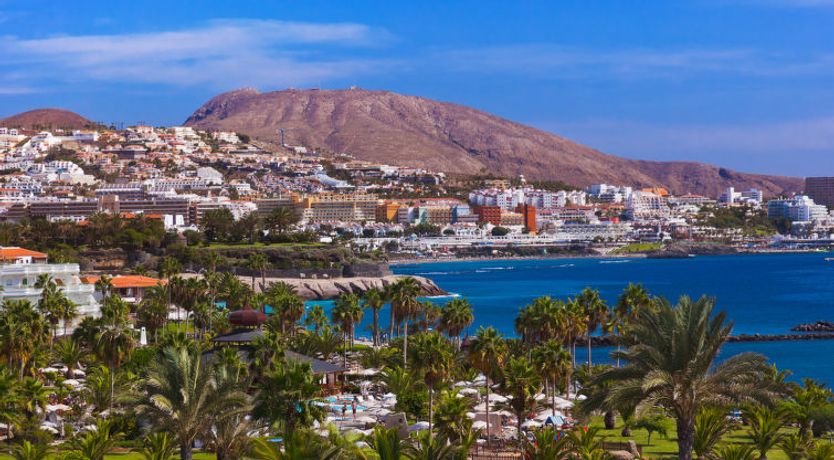 Photo of Comfy Altemar Apartment 2