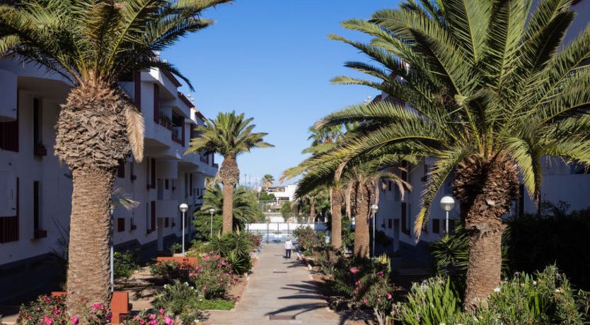 Photo of Comfy Altemar Apartment 2