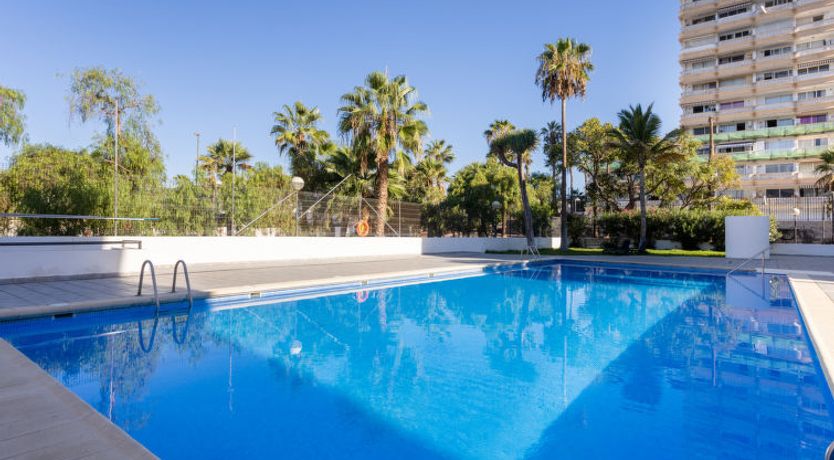 Photo of Comfy Altemar Apartment 2