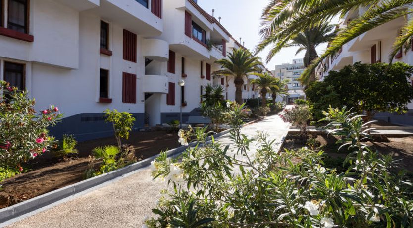 Photo of Comfy Altemar Apartment 2