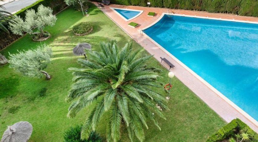 Photo of Los Pelicanos