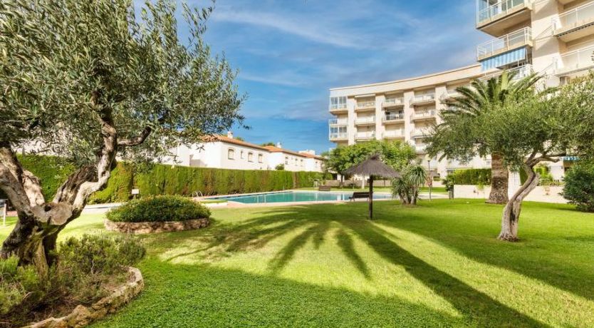 Photo of Los Pelicanos