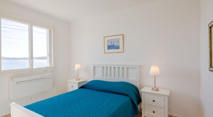 Photo of Les Dauphins