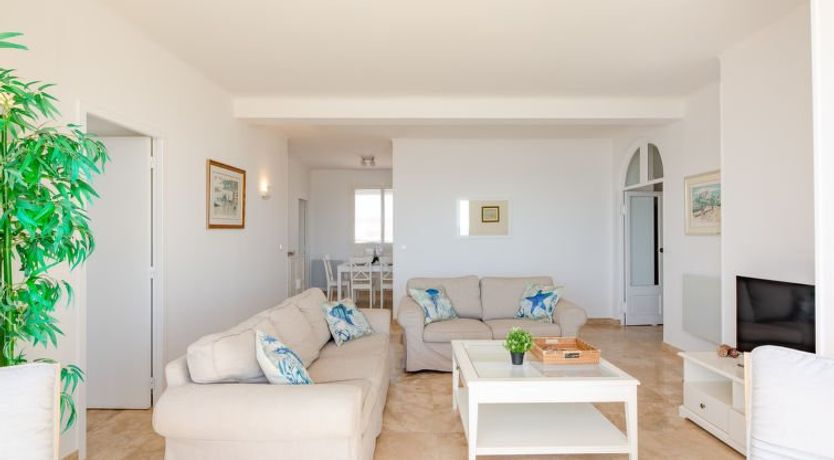 Photo of Les Dauphins