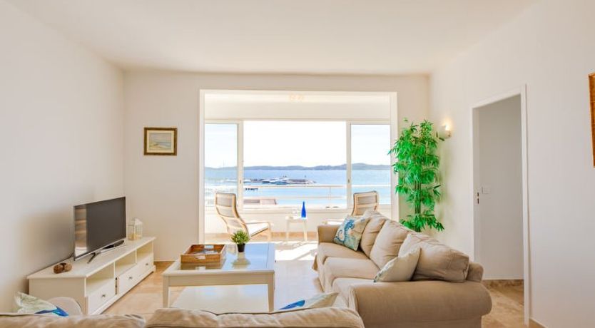 Photo of Les Dauphins