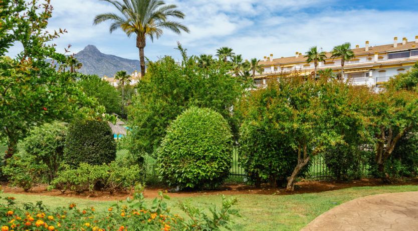 Photo of Dama de noche Apartment 3