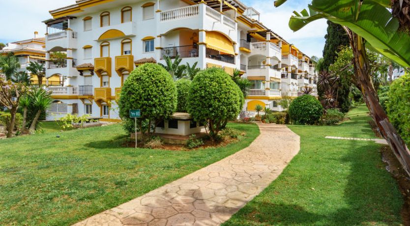 Photo of Dama de noche Apartment 3