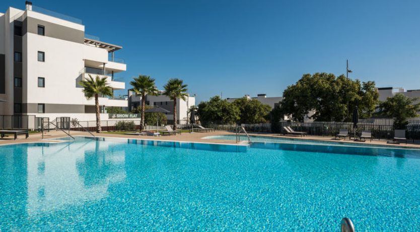 Photo of Calma Blanca