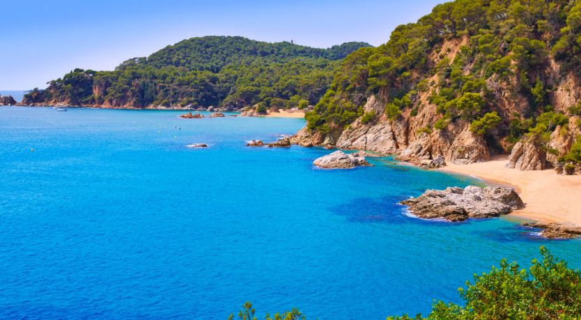 Photo of Lloret Garden