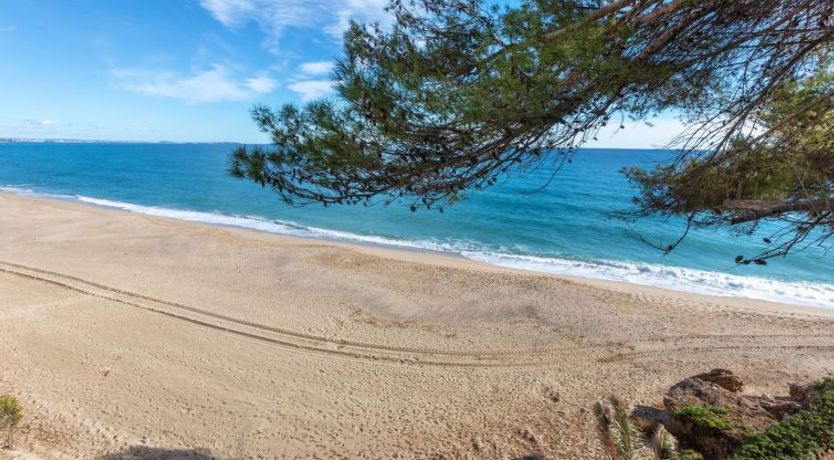 Photo of Miami Palace