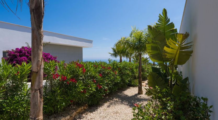 Photo of Lirios View