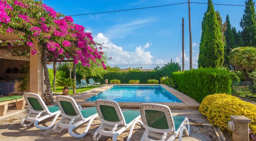 Photo of La Truyola Pool Finca