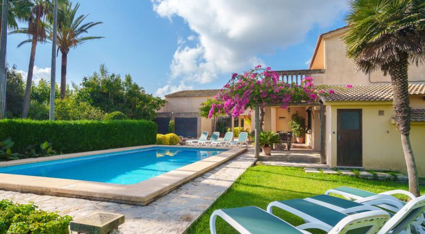 Photo of La Truyola Pool Finca