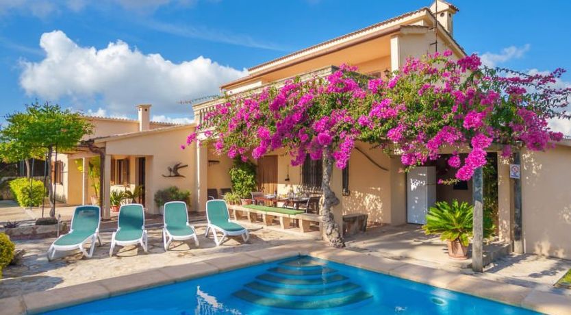 Photo of La Truyola Pool Finca