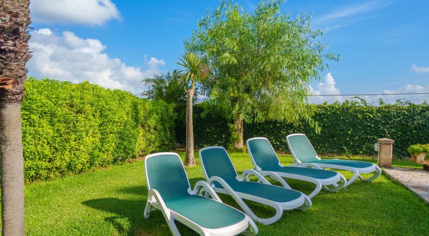 Photo of La Truyola Pool Finca