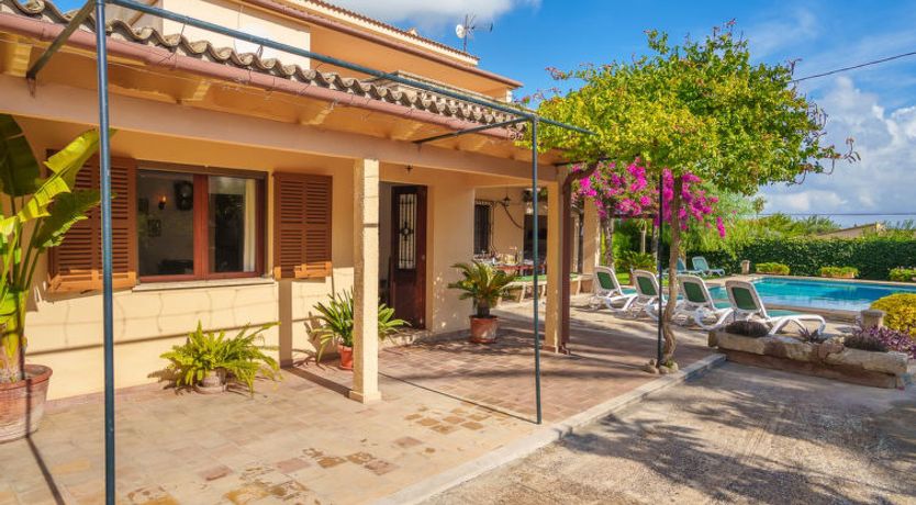 Photo of La Truyola Pool Finca