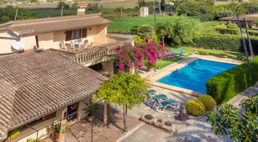 Photo of La Truyola Pool Finca