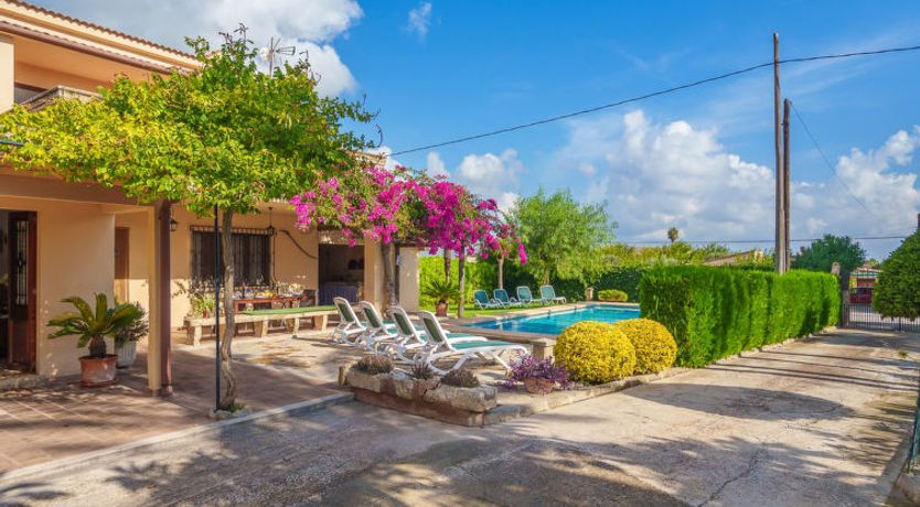 Photo of La Truyola Pool Finca