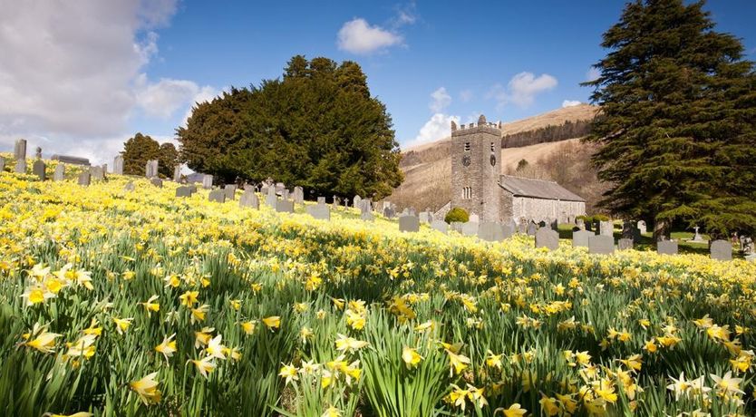 Photo of Robin Cottage