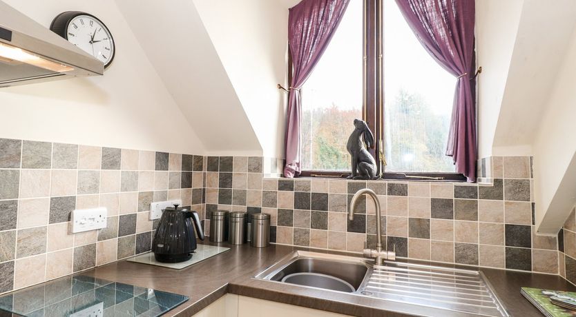 Photo of Squirrel Bank