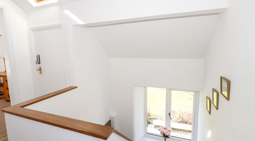 Photo of Spindle Coppice