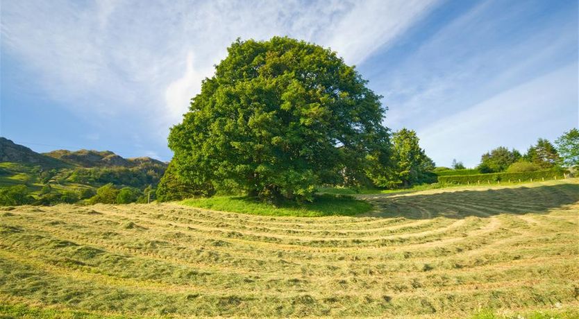 Photo of Foxdene Cottage