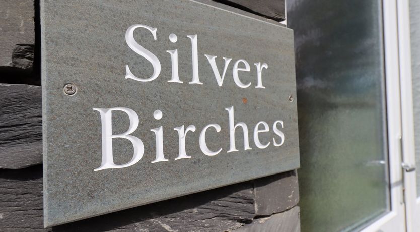 Photo of Silver Birches