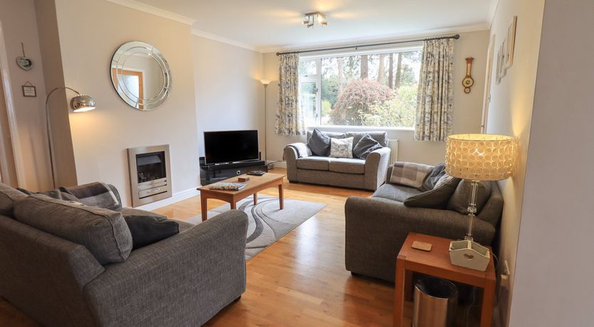 Photo of Silver Birches