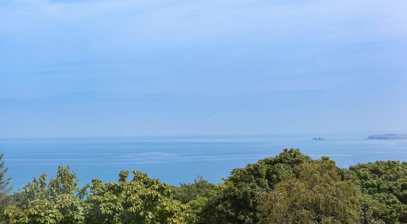 Photo of Beachcomber