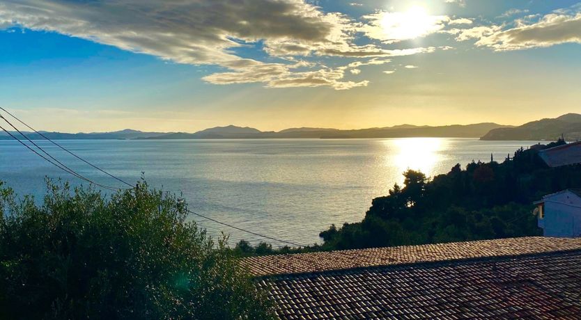 Photo of Diamond on the Vine