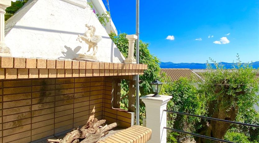 Photo of Diamond on the Vine