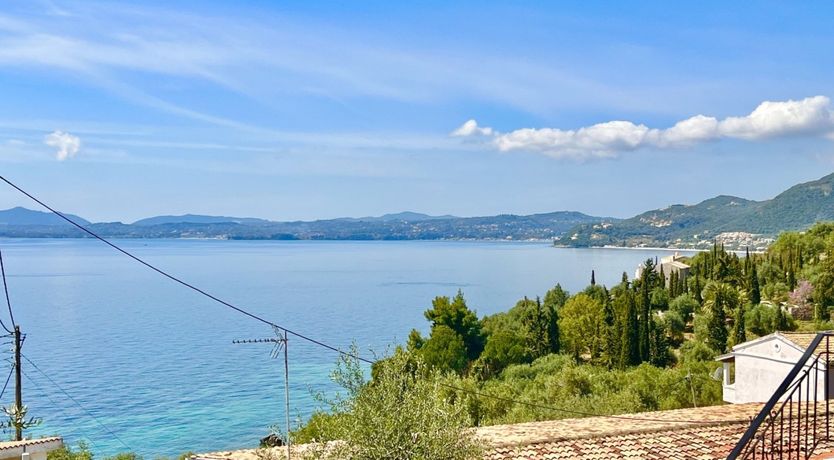 Photo of Diamond on the Vine