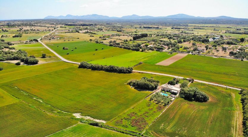 Photo of I Tumble Homeward