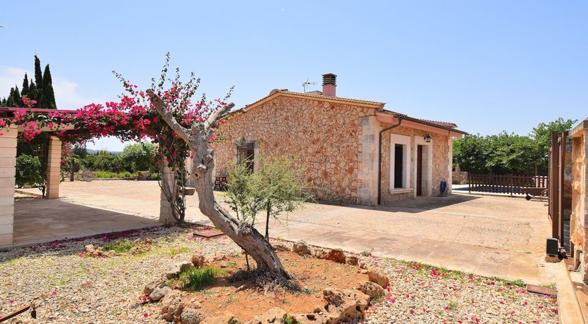 Photo of Finca Blush