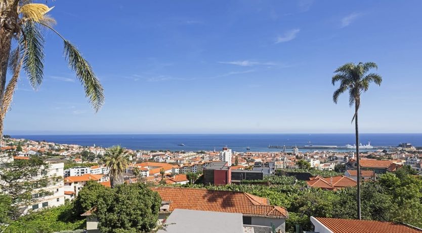 Photo of Paradise Horizon