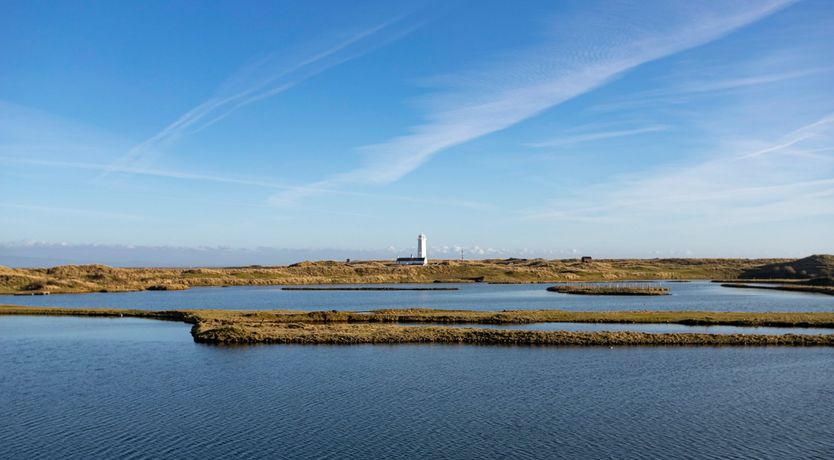 Photo of Follow the Light