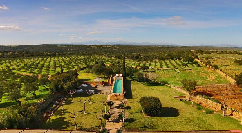 Photo of The Red Shoes