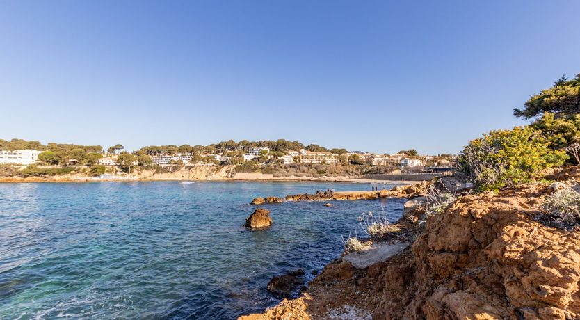 Photo of Sublime Shorelines