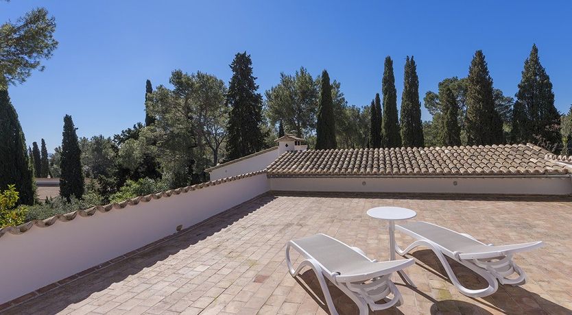 Photo of Serenity Sun