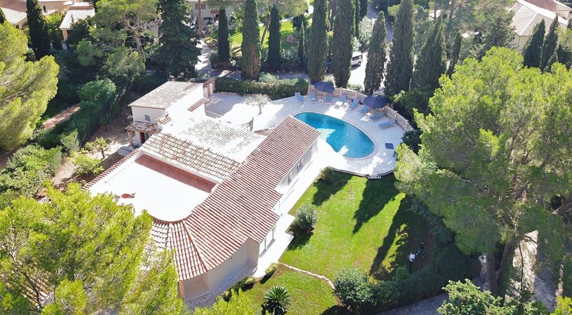 Photo of Serenity Sun