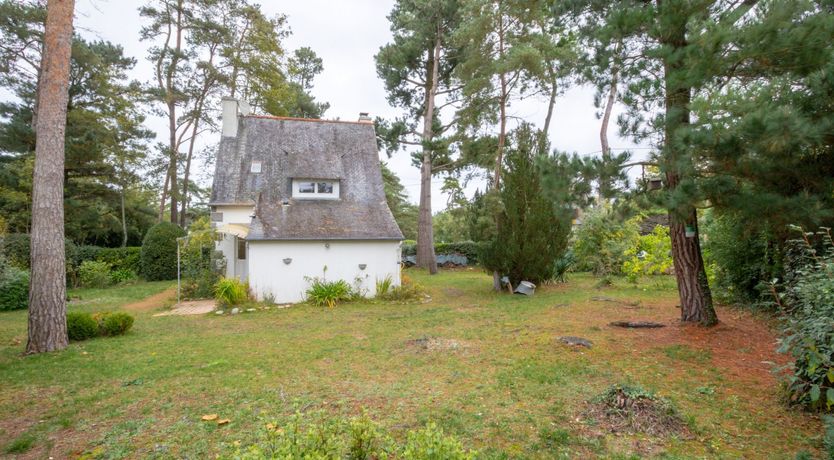 Photo of Great Breton