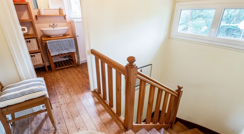 Photo of Great Breton