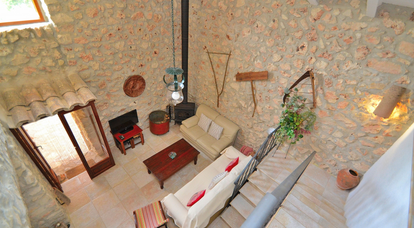 Photo of Palms & Vines