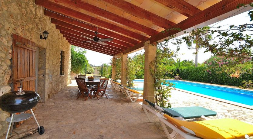 Photo of Palms & Vines