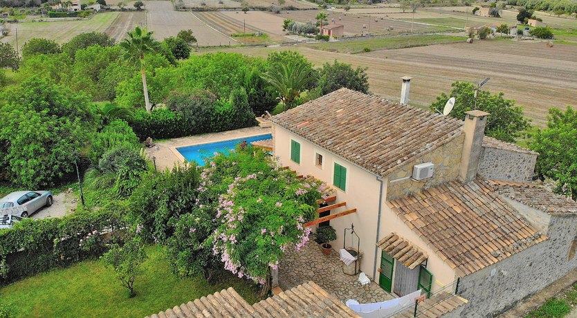Photo of Palms & Vines
