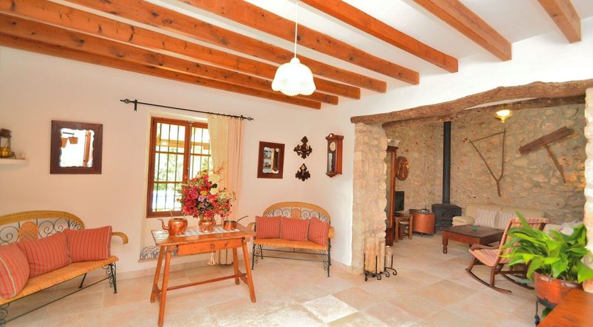 Photo of Palms & Vines